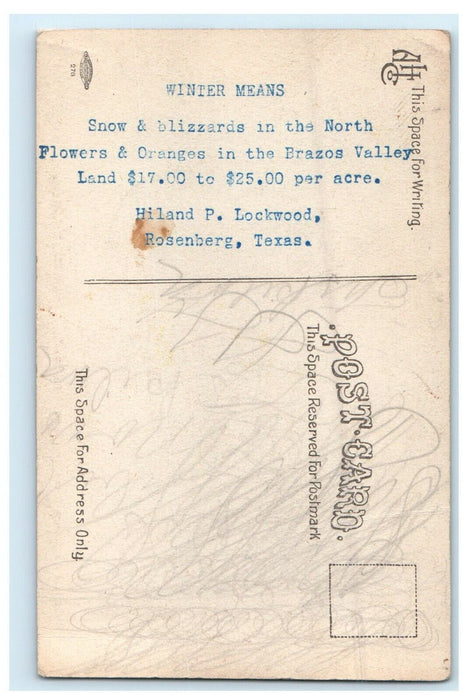 c1910's Brazos Valley Real Estate Advertising Orange Tree Rosenburg TX Postcard