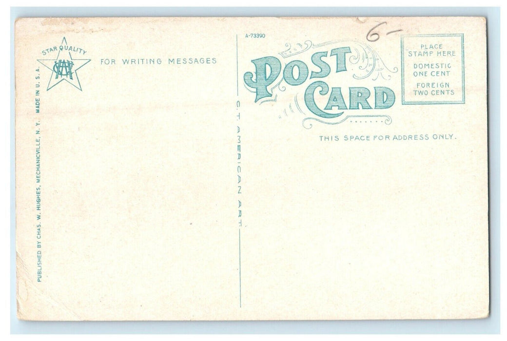 c1920's View Of St. Patricks Church Catskill New York NY Vintage Postcard