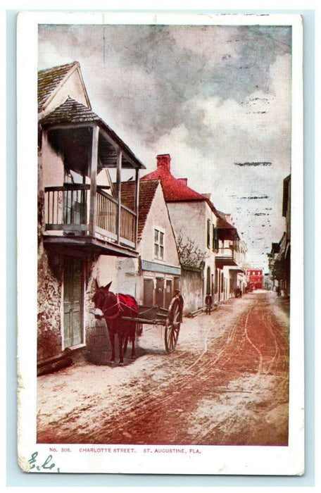 1905 Charlotte St. St. Augustine Florida FL Donkey Posted Antique Postcard