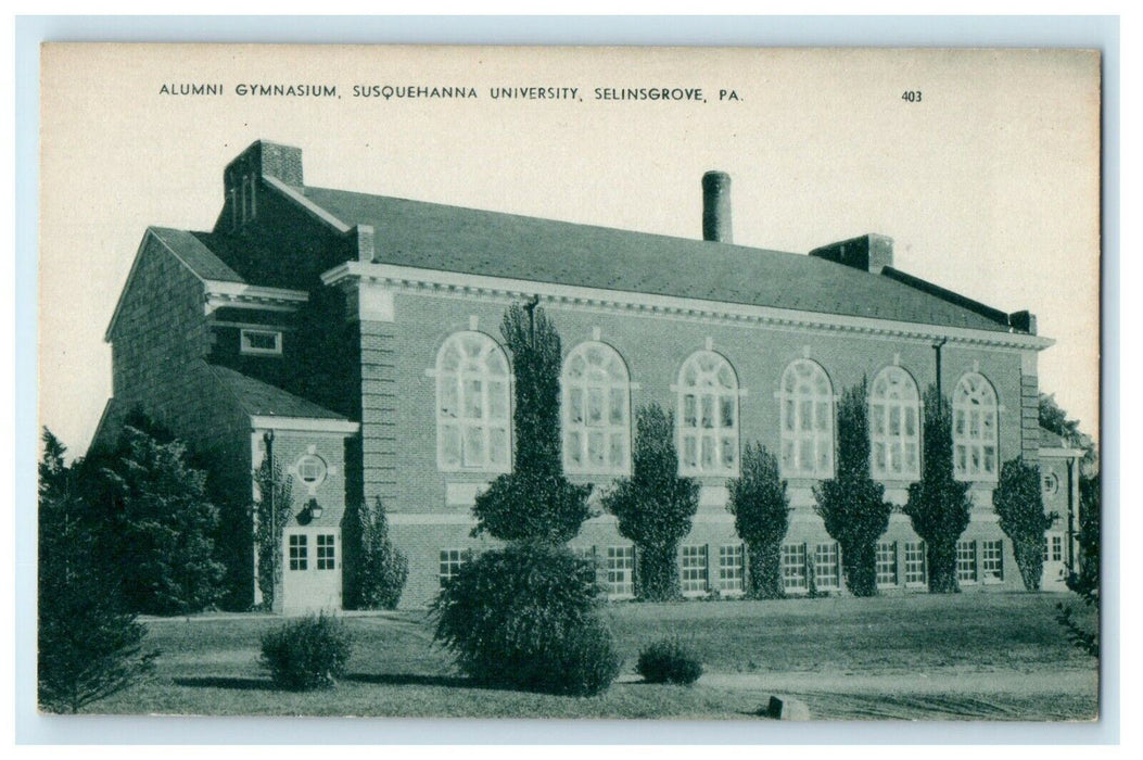 Alumni Gymnasium Susquehanna University Selinsgrove Pennsylvania PA Postcard
