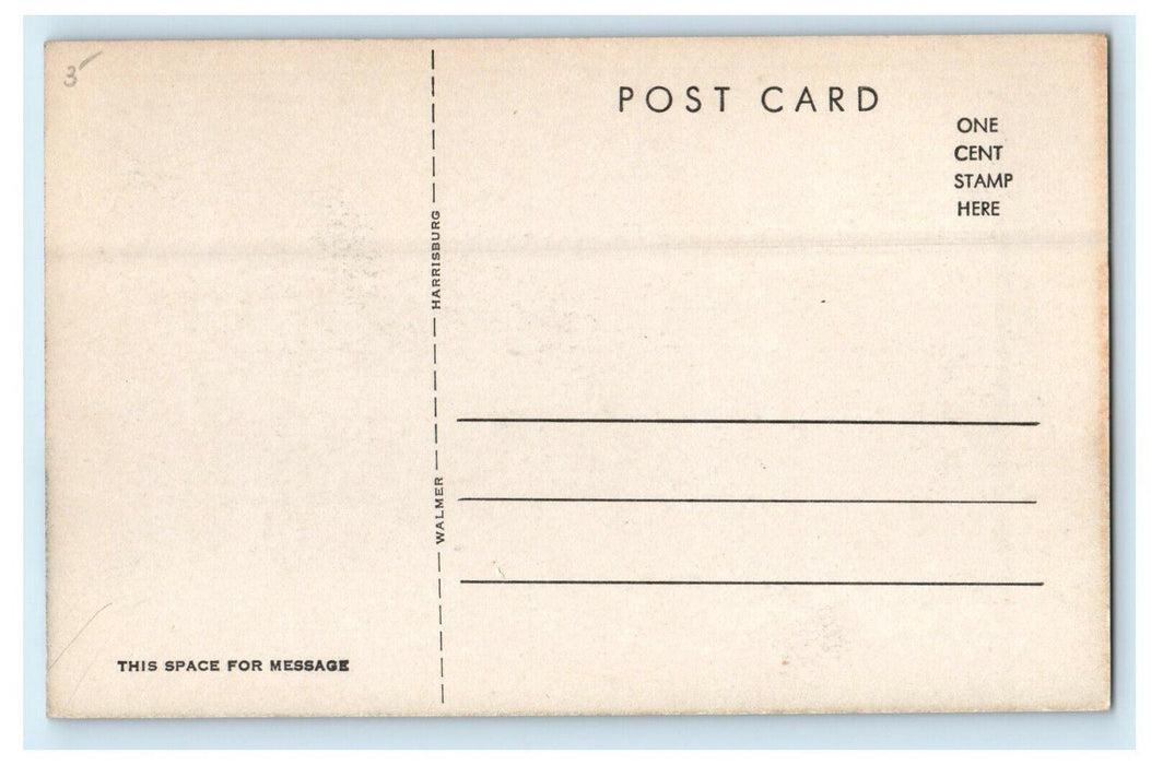 Alumni Gymnasium Susquehanna University Selinsgrove Pennsylvania PA Postcard