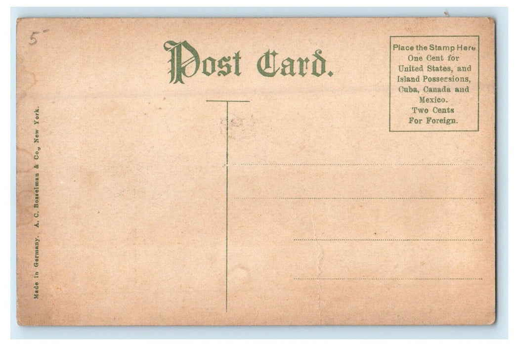 c1910 Northern Point Of The Palisades Boat Hudson River New Jersey NJ Postcard