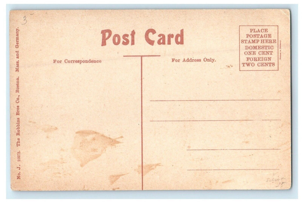 c1909 Below the Flume, Lawrence, Massachusetts MA Antique Postcard