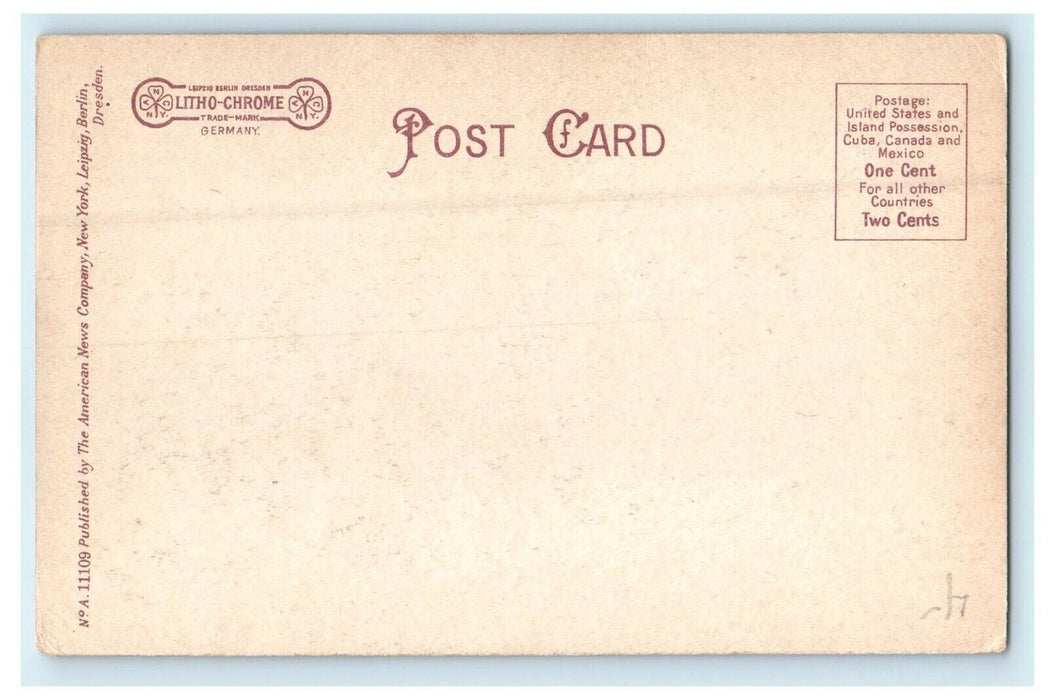 c1905 Zion Lutheran Church Sunbury Pennsylvania PA Undivided Back Postcard