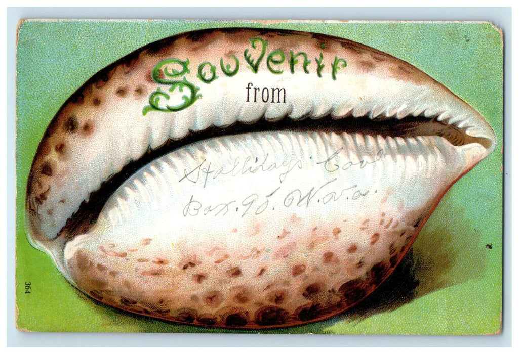 1908 Sea Shell, Greetings from Hollidays Cove West Virginia WV Posted Postcard