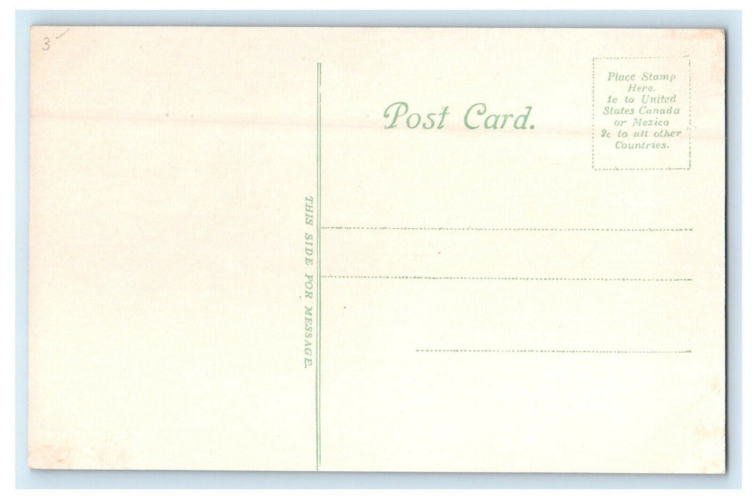 c1912 Nature Scene at The Pines, Haverhill, Massachusetts MA Postcard