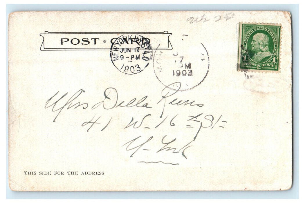 1903 Lake Mohonk Mountain House, Lake Mohonk New York NY Antique Posted Postcard
