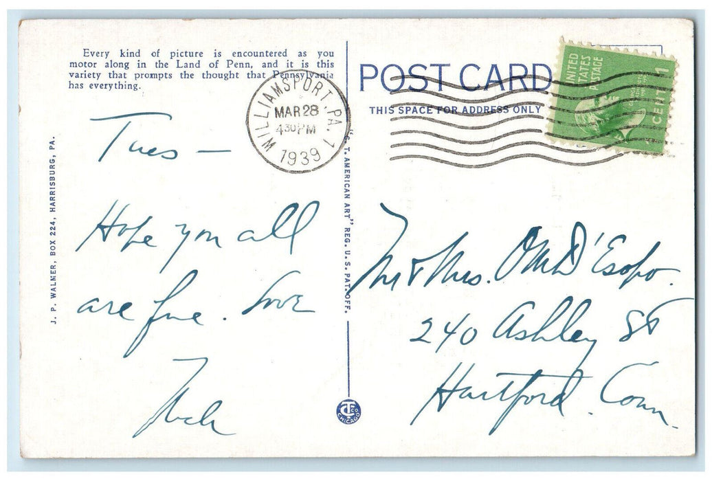 1939 Lycoming Creek and Susquehanna Trail, North of Williamsport PA Postcard