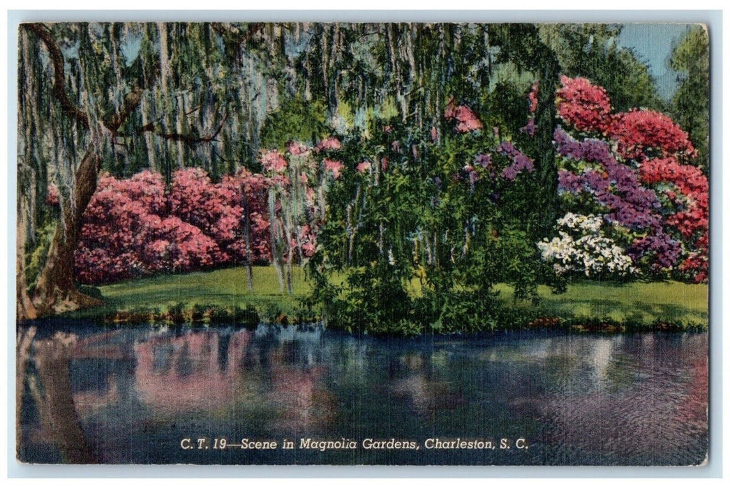 1947 Scene Magnolia Gardens Mirror River Charleston South Carolina SC Postcard