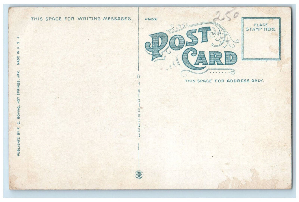 c1910 Driveway on Hot Springs Reservation Hot Springs Arkansas AR Postcard