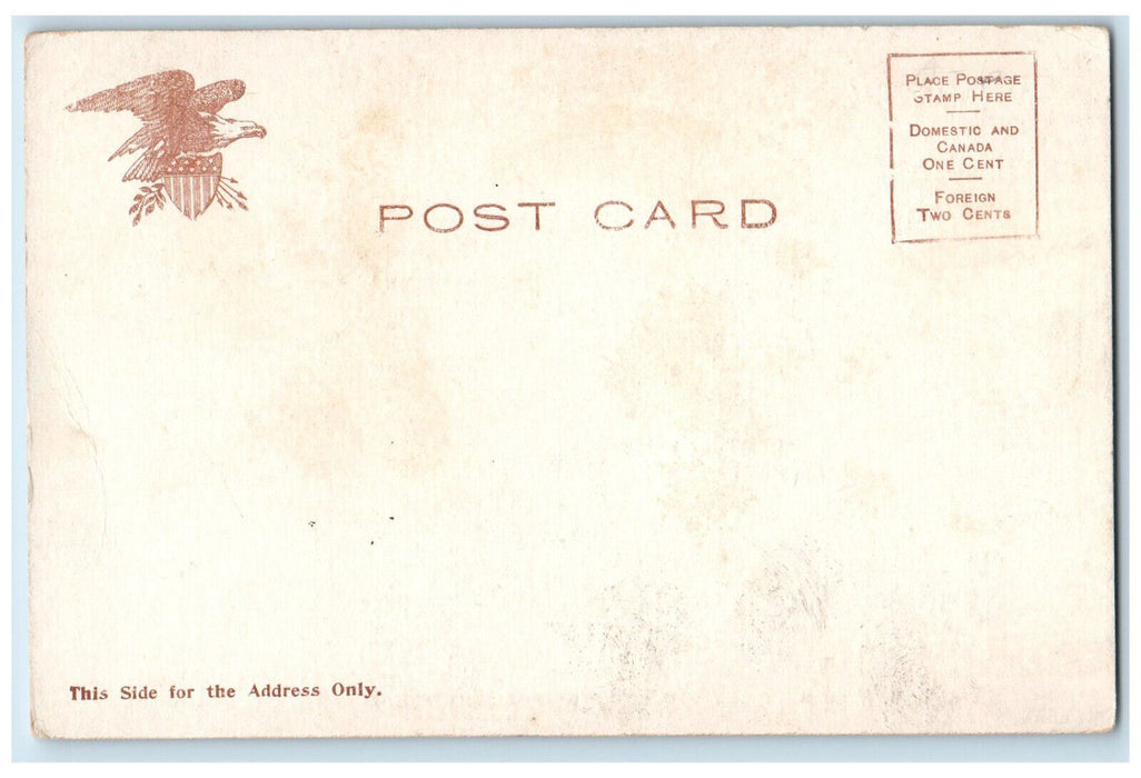 c1905 The New Trinity Methodist Episcopal Church Auburn New York NY Postcard