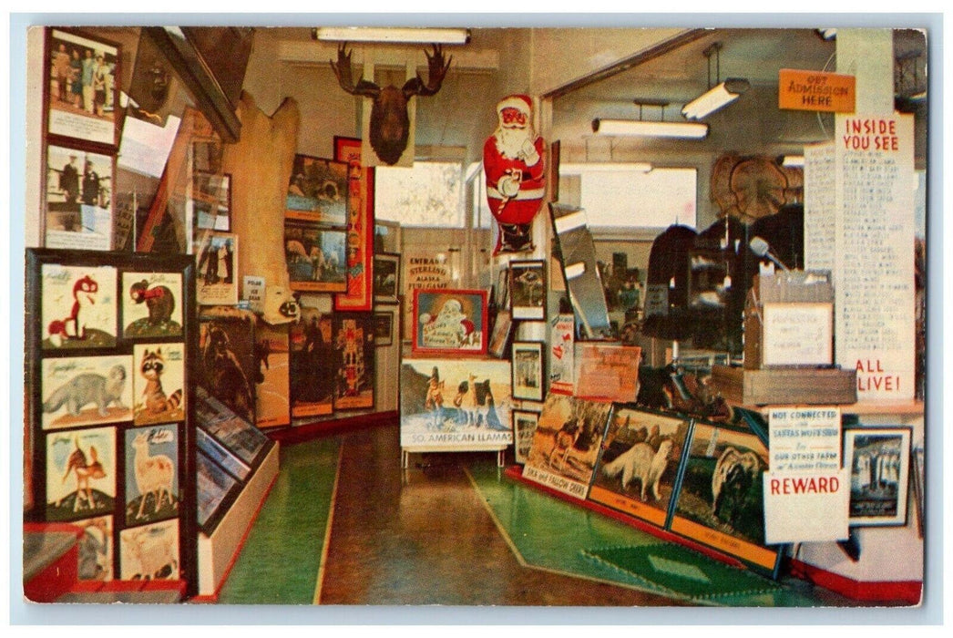 Lake Placid NY. Entrance Lobby Sterling Alaska Fur Game Farms Santa Postcard