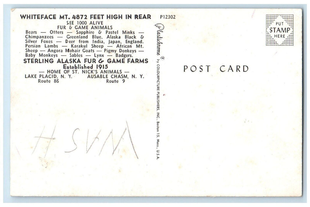 Lake Placid NY, Sterling Alaska Fur & Game Farms St. Nick's Animals Postcard