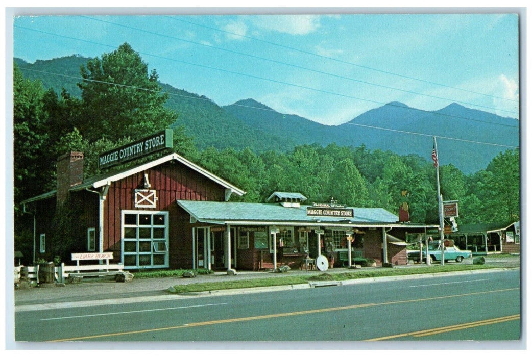 Maggie Country Store Roadside Finest Mountain Maggie North Carolina NC Postcard