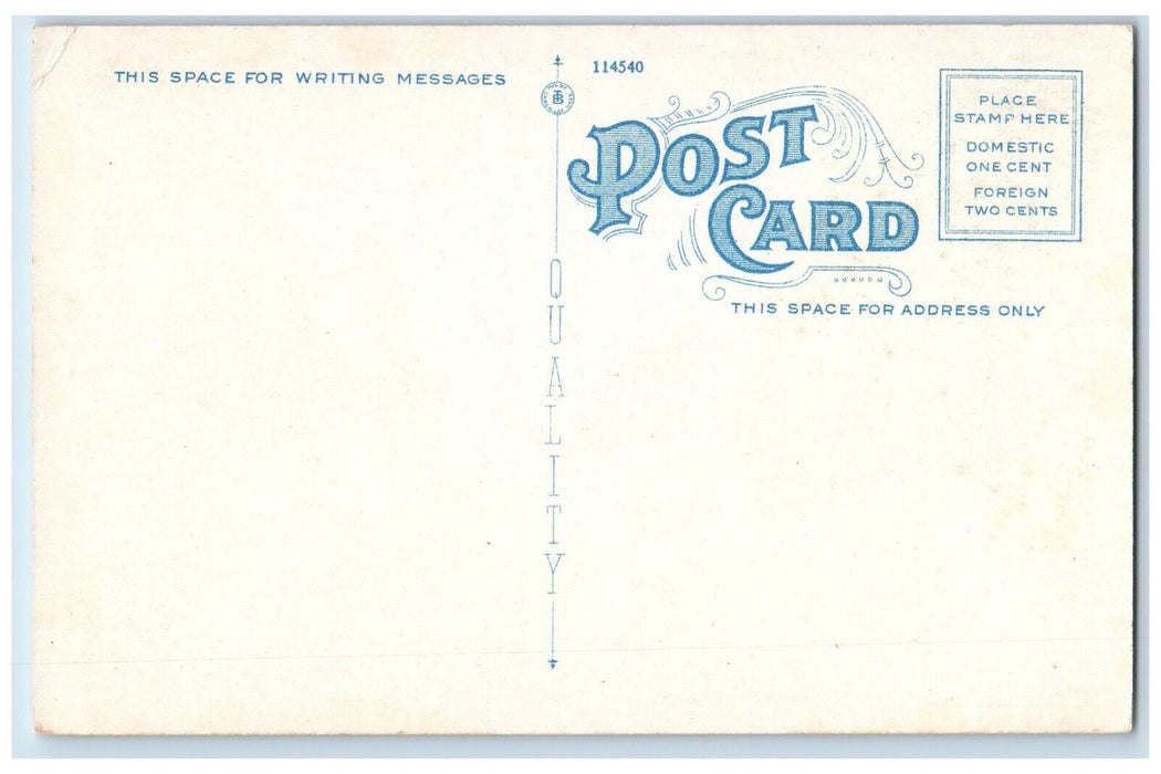 c1920's US Flag, Horse Carriage, Cars Main St. Gloversville New York NY Postcard
