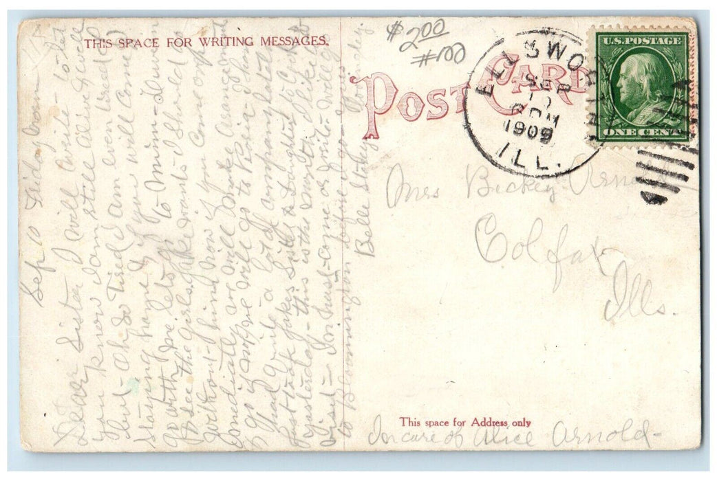 1909 View Of Island Houghtons Lake Bloomington Illinois IL Antique Postcard