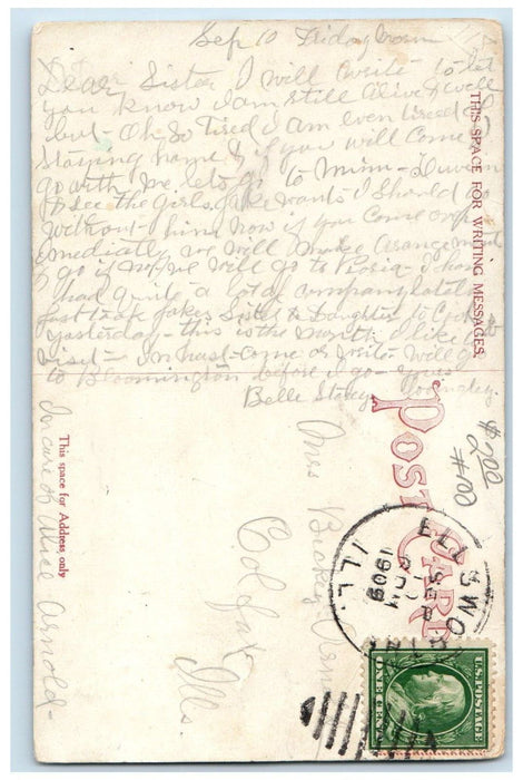 1909 View Of Island Houghtons Lake Bloomington Illinois IL Antique Postcard