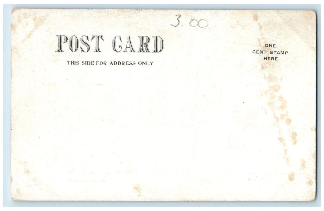c1905 State Normal School Oneonta New York NY Unposted Townsend Postcard