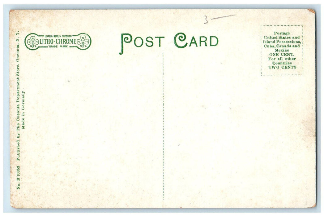 c1910 Grass View, Building of State Normal School Oneonta New York NY Postcard