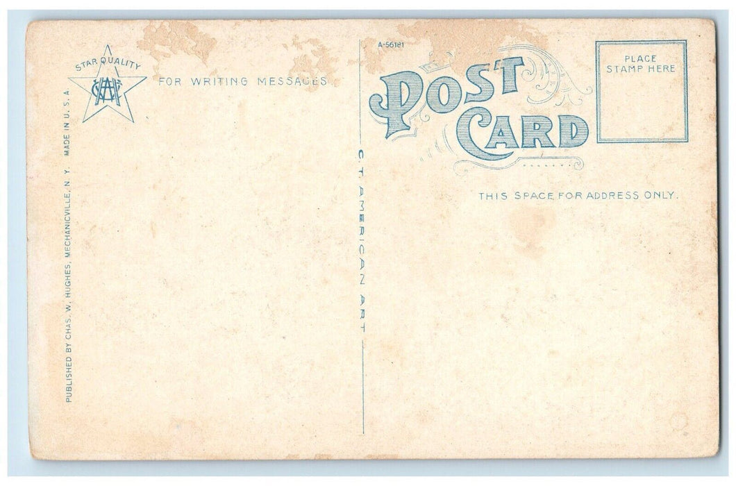 c1930's The Chapel Vassar College Interior Poughkeepsie New York NY Postcard