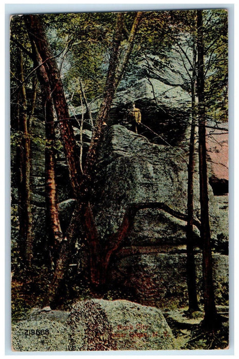 1915 Trees in Rock City Near Olean New York NY Valentine-Souvenir Co. Postcard