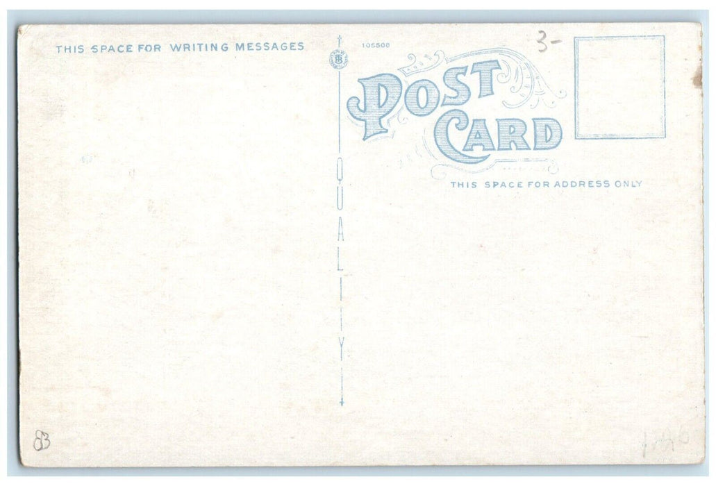 c1920's Detroit MI, Excursion Boats River Leaving Border Cities Canada Postcard