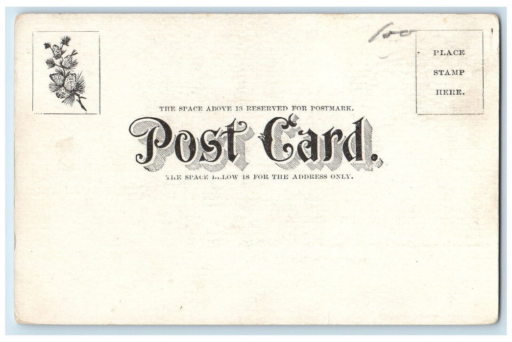 c1905 Point Gratiot, Dunkirk New York NY Antique Henry Weiler Postcard
