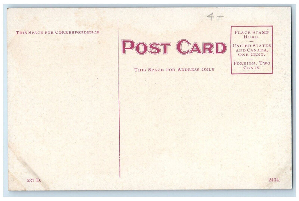 c1910's Eaglets Zoo Buffalo New York NY, Animals Unposted Antique Postcard