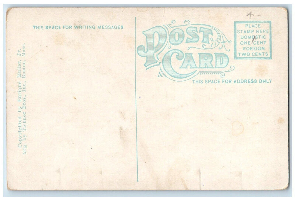 c1910's U. S. S. Steamer Ship Sea View Wisconsin WI Unposted Antique Postcard
