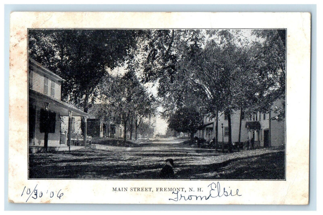 c1905 Main Street Dog Houses View Fremont New Hampshire NH Antique Postcard