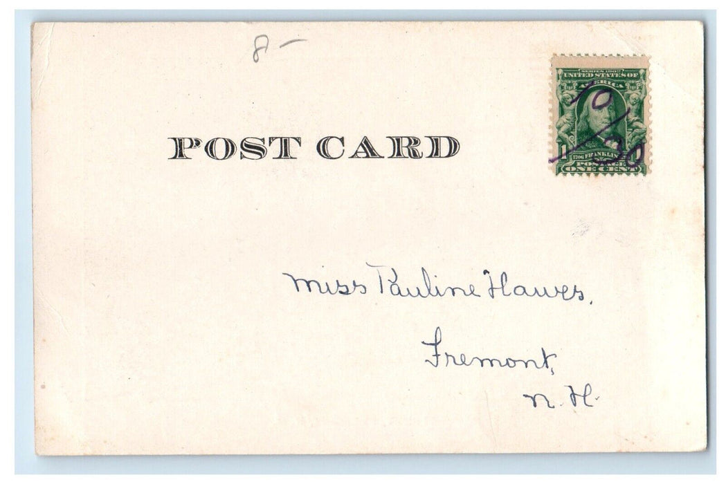 c1905 Main Street Dog Houses View Fremont New Hampshire NH Antique Postcard