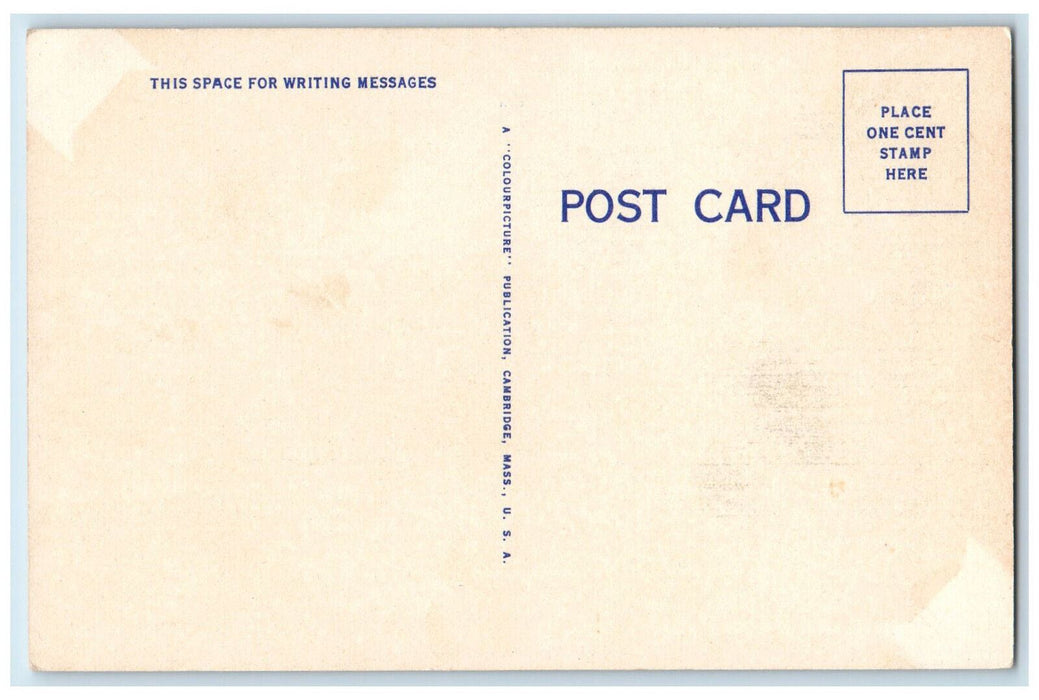 c1950's Tall Trees, Snow, Greetings from Waterville Maine ME Postcard