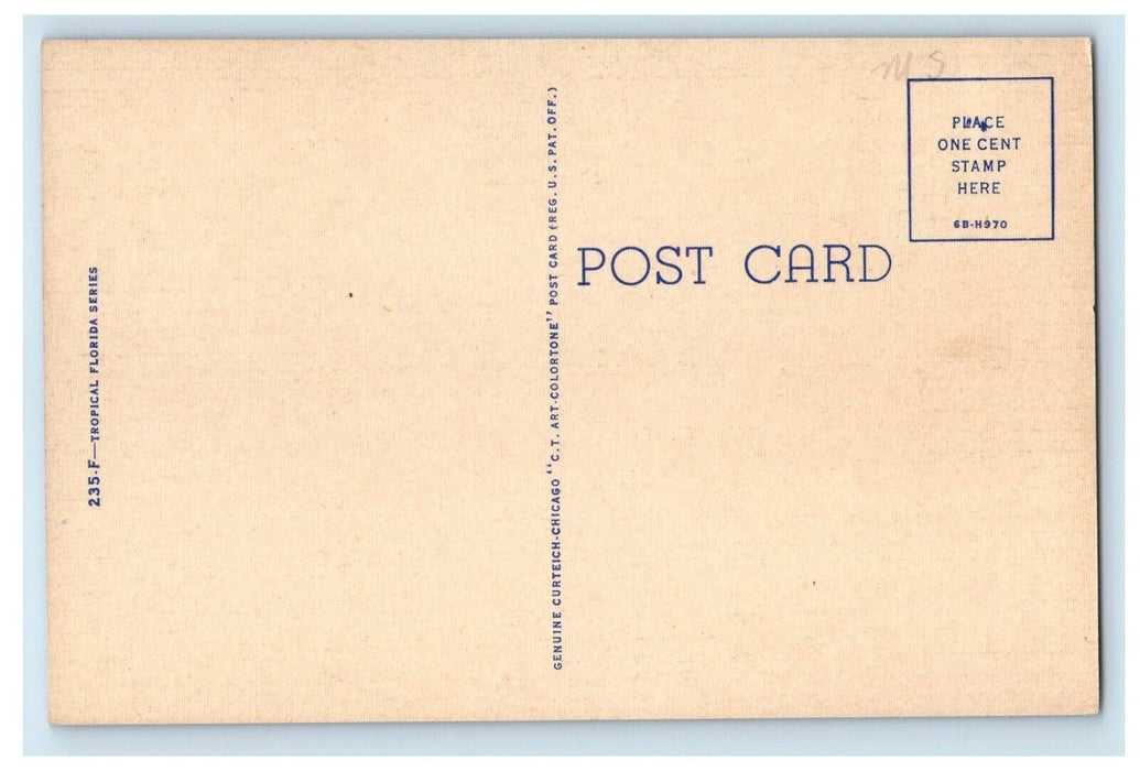 c1930's Moonlight Scene In Florida Showing Orange Grove Across Lake Postcard