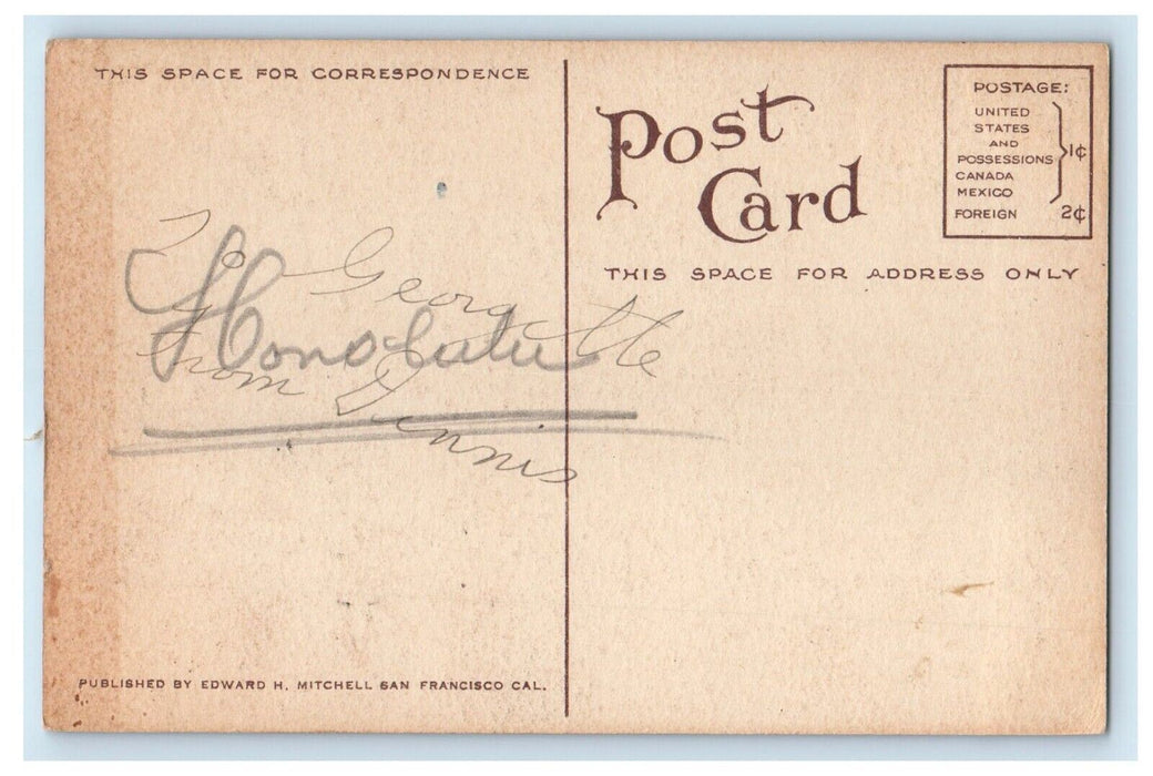 c1910's Fish Market Vendors Honolulu T. H Hawaii HI Unposted Antique Postcard