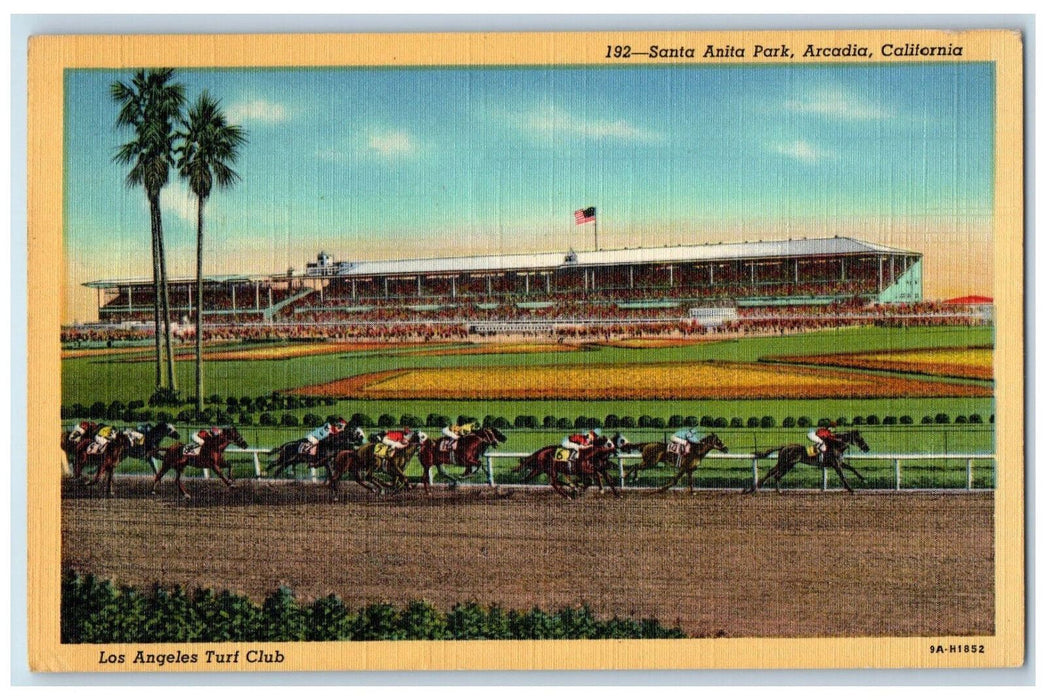 1946 Horse Racing Los Angeles Turf Club Santa Anita Park Arcadia CA Postcard
