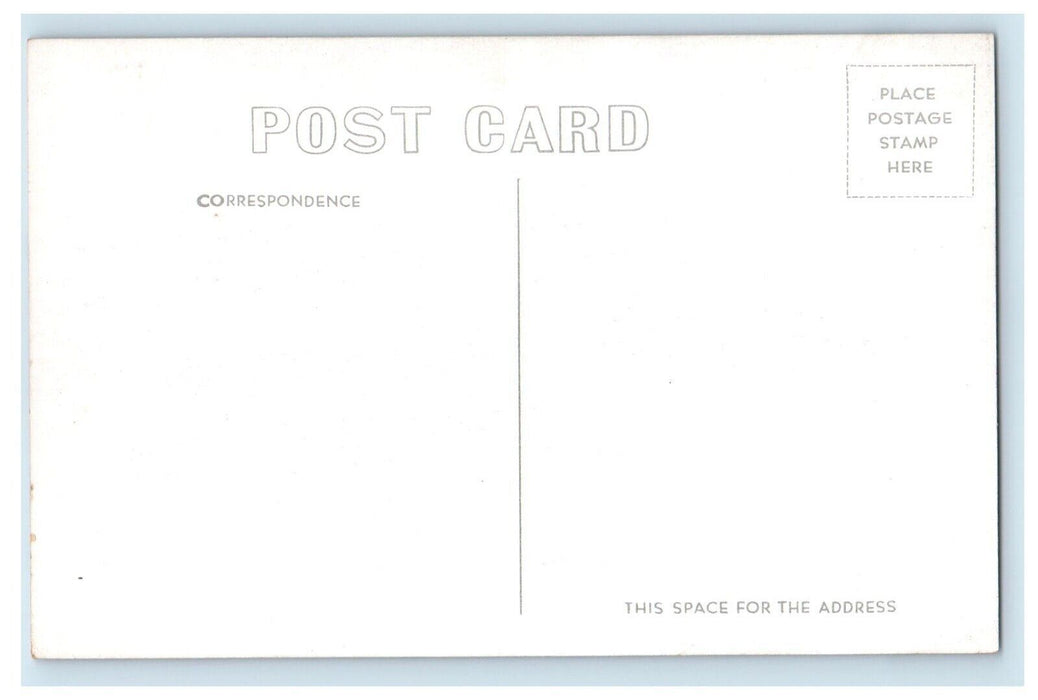 c1910's Champion Bull With Rope North Platte Nebraska NE Antique Postcard