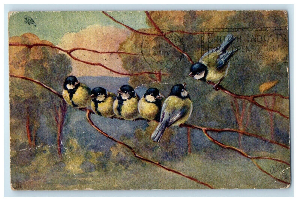 1932 Birds, Tom Tits and Chaffinches, Oilette Tuck Art London England Postcard