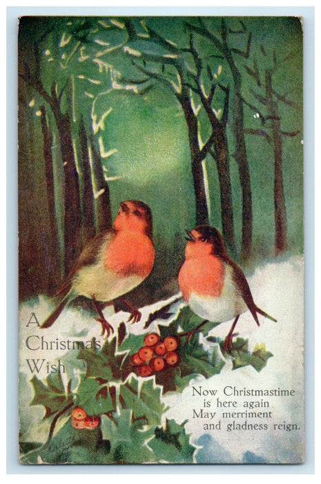 c1910 A Christmas Wish, Birds, Holly Plant Oilette Tuck Art Postcard