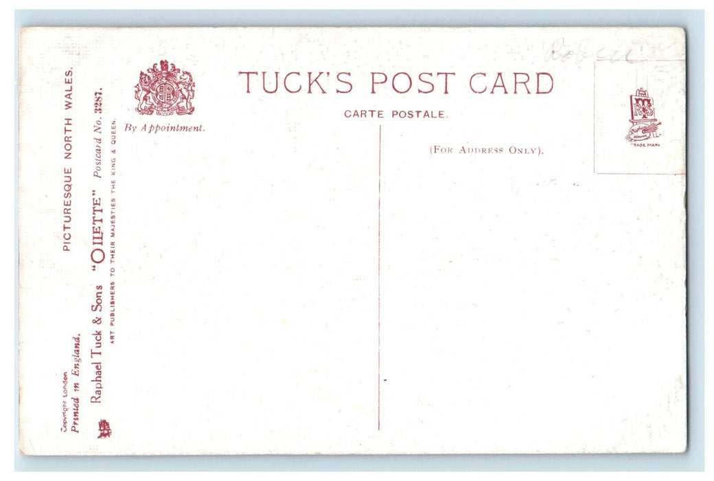 c1910 Carnavon Castle, Boat, Picturesque North Wales Oilette Art Tuck Postcard