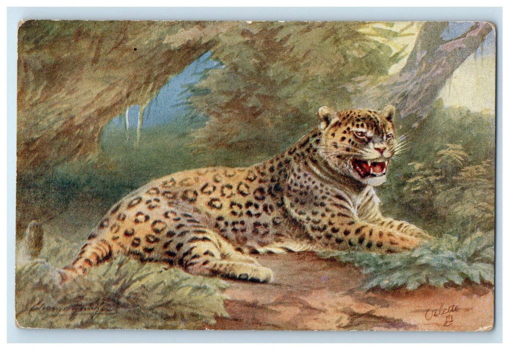 c1910 The Jaguar, Wild Animals Oilette Tuck Art Unposted Antique Postcard