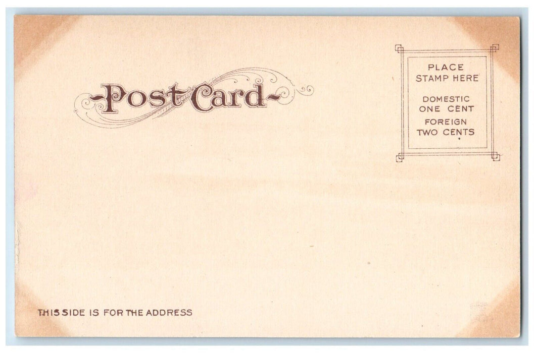 1905 Southern Pacific Steamer Solano Ferry San Francisco Bay California Postcard