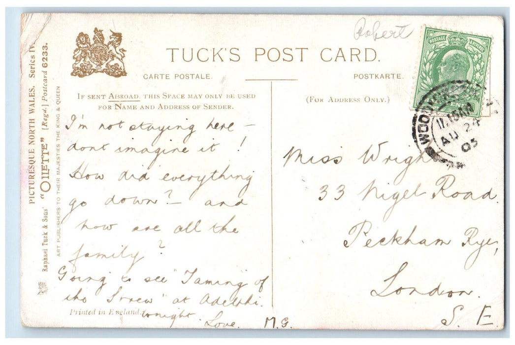 1905 Boat Scene Cader Idris From Barmouth Oilette Tuck Art Postcard