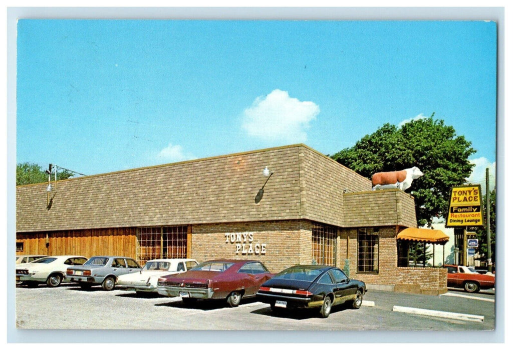 Tony's Place Family Restaurant Cars Niagara Falls Ontario Canada Postcard