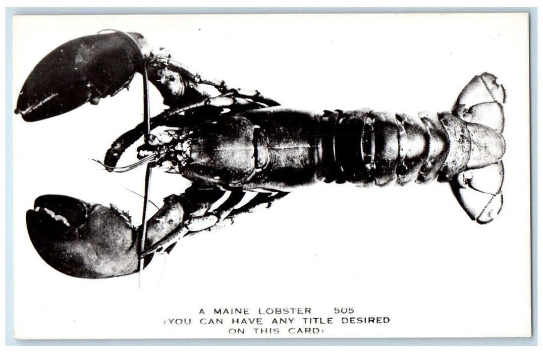 c1950's Giant Maine Lobster ME RPPC Seafood Sample Photo Postcard