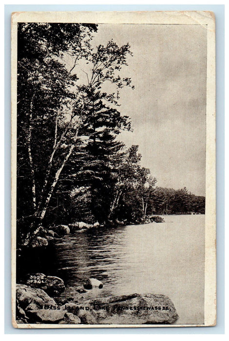 c1910 Bass Island Lake Pennesseewassee Maine ME Antique Posted Postcard