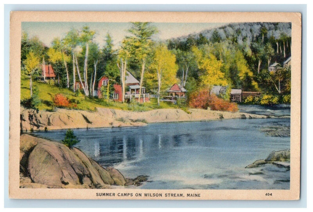 c1910's View Of Summer Camps On Wilson Stream Maine ME Unposted Antique Postcard