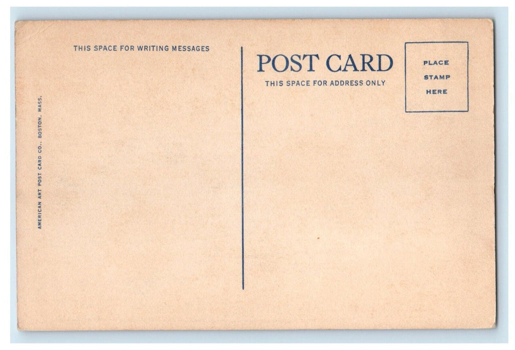c1910's View Of Summer Camps On Wilson Stream Maine ME Unposted Antique Postcard