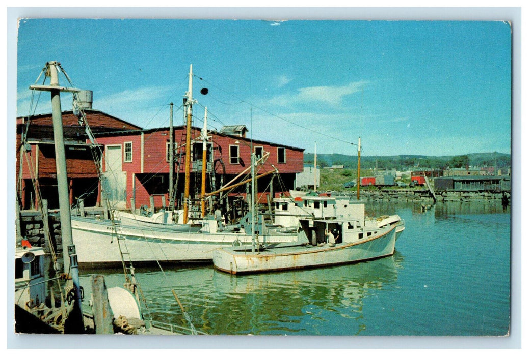 1965 View Showing Several of Fishing Boats at Rockland Maine ME Postcard