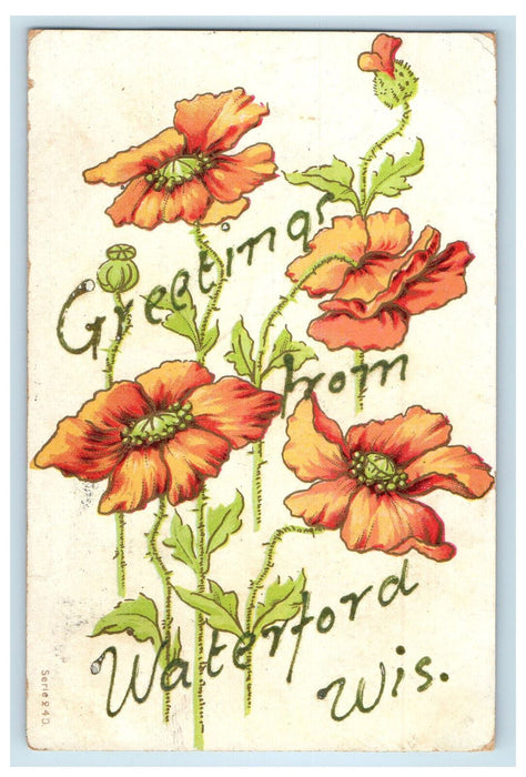 1907 Flowers, Leaves, Greetings from Waterford WI Scales Mound IL Postcard