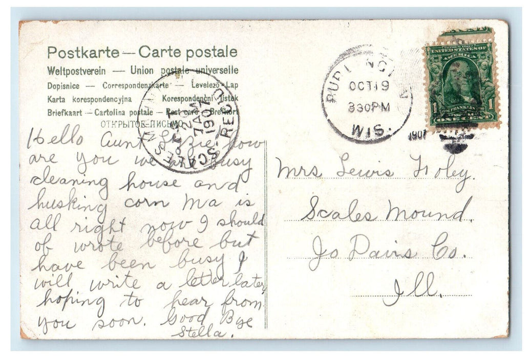 1907 Flowers, Leaves, Greetings from Waterford WI Scales Mound IL Postcard